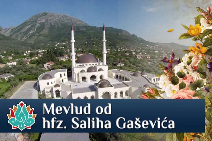 Mevlud Salih Gašević